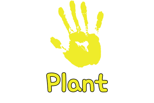 Plant